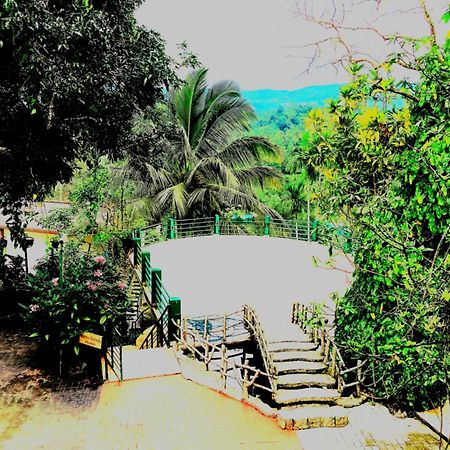 Rainforest Lodge, Deniyaya Singheraja Екстериор снимка