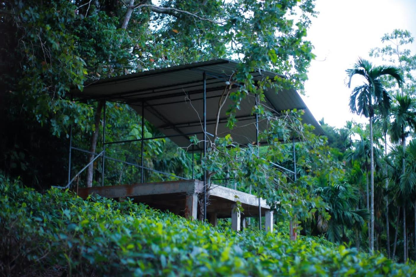 Rainforest Lodge, Deniyaya Singheraja Екстериор снимка