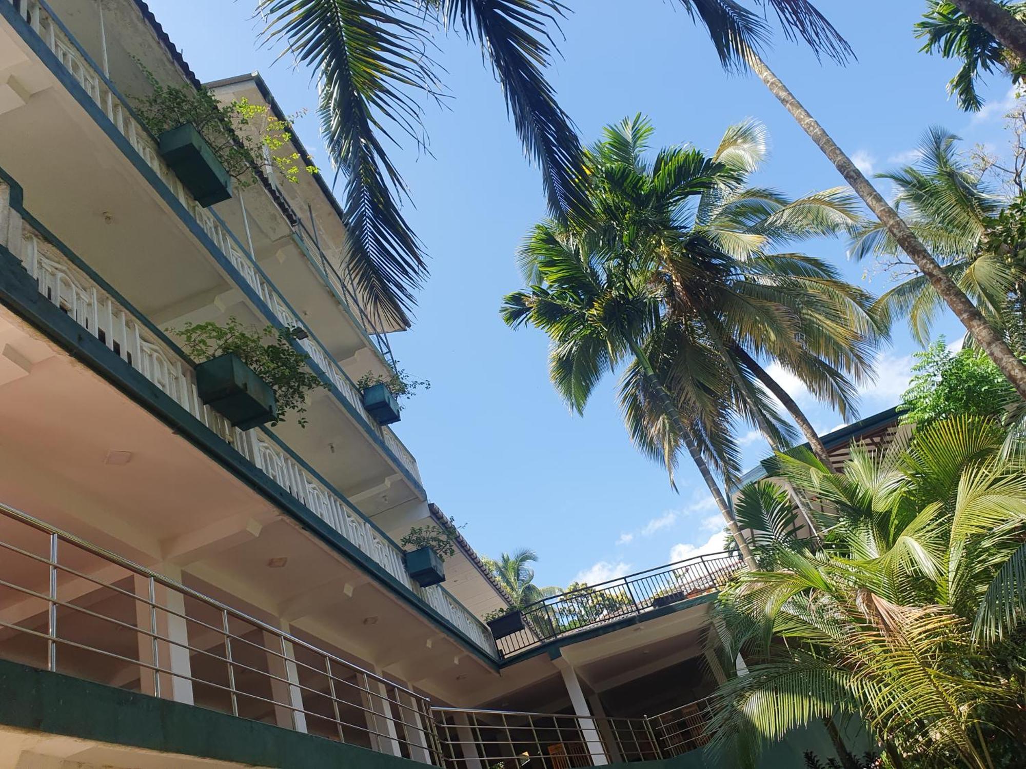 Rainforest Lodge, Deniyaya Singheraja Екстериор снимка