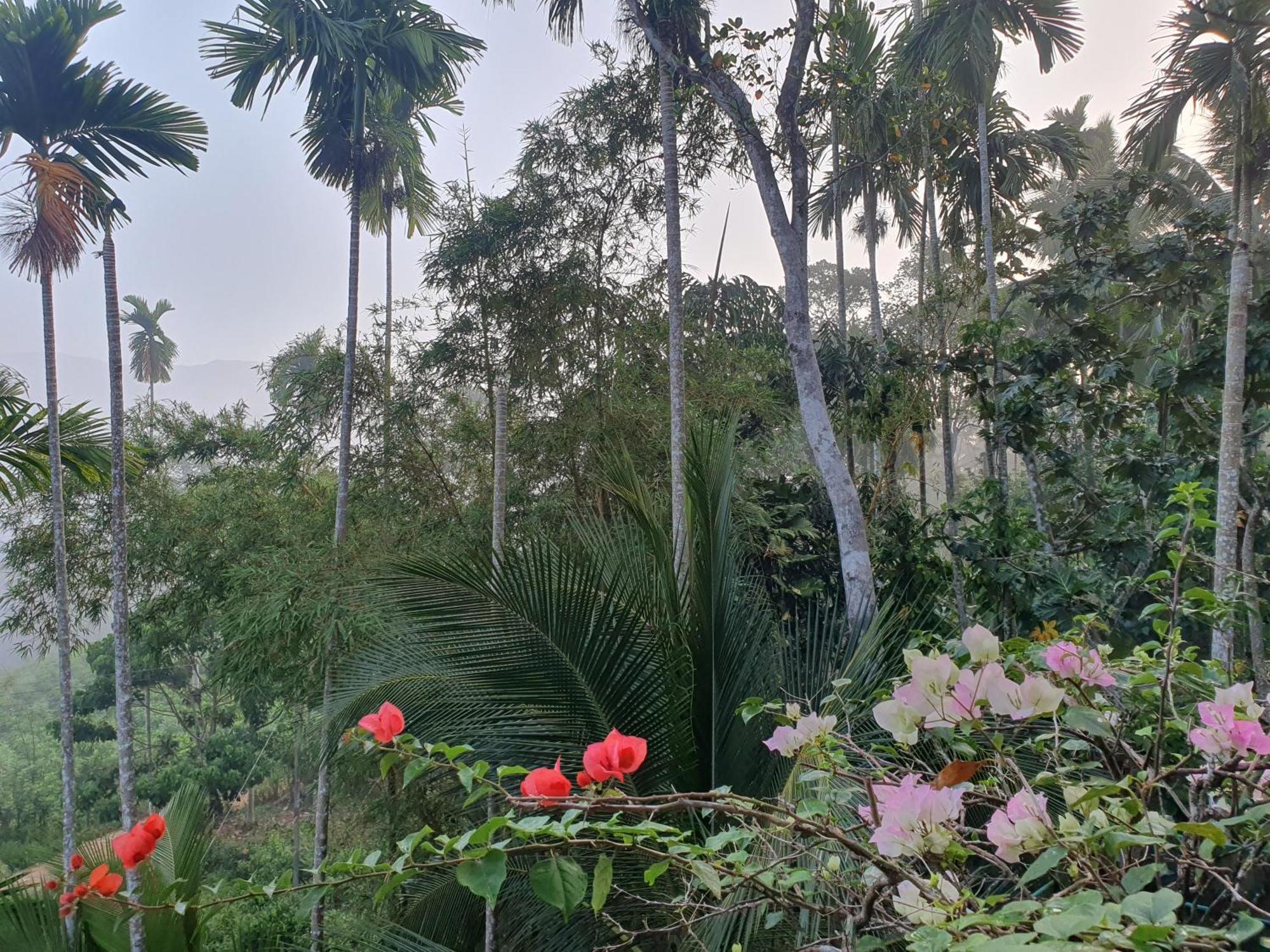 Rainforest Lodge, Deniyaya Singheraja Екстериор снимка