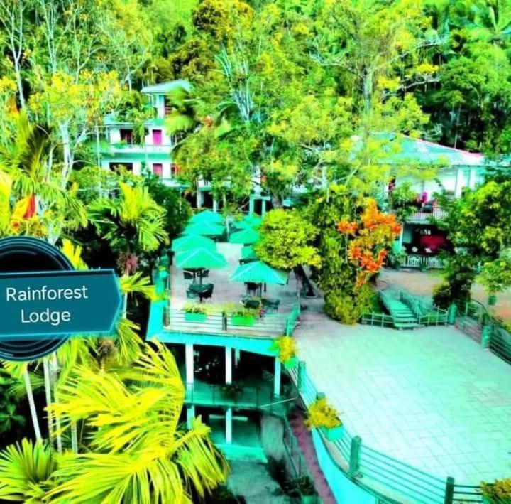Rainforest Lodge, Deniyaya Singheraja Екстериор снимка